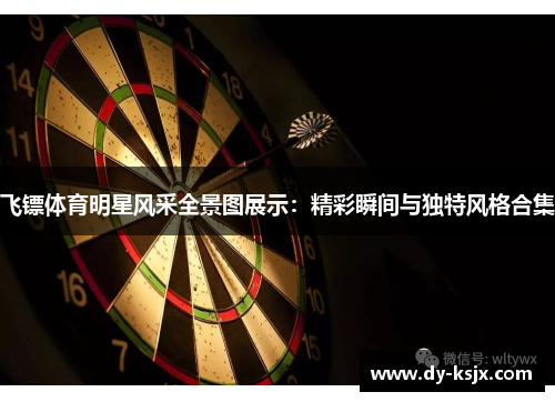 飞镖体育明星风采全景图展示：精彩瞬间与独特风格合集